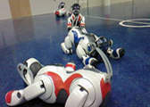 Aibo Stories
