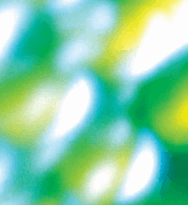 Green abstract
